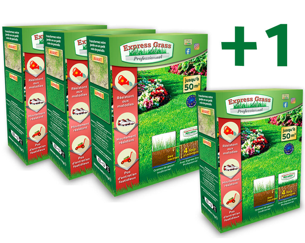 3 + 1 Express Grass Professionnel