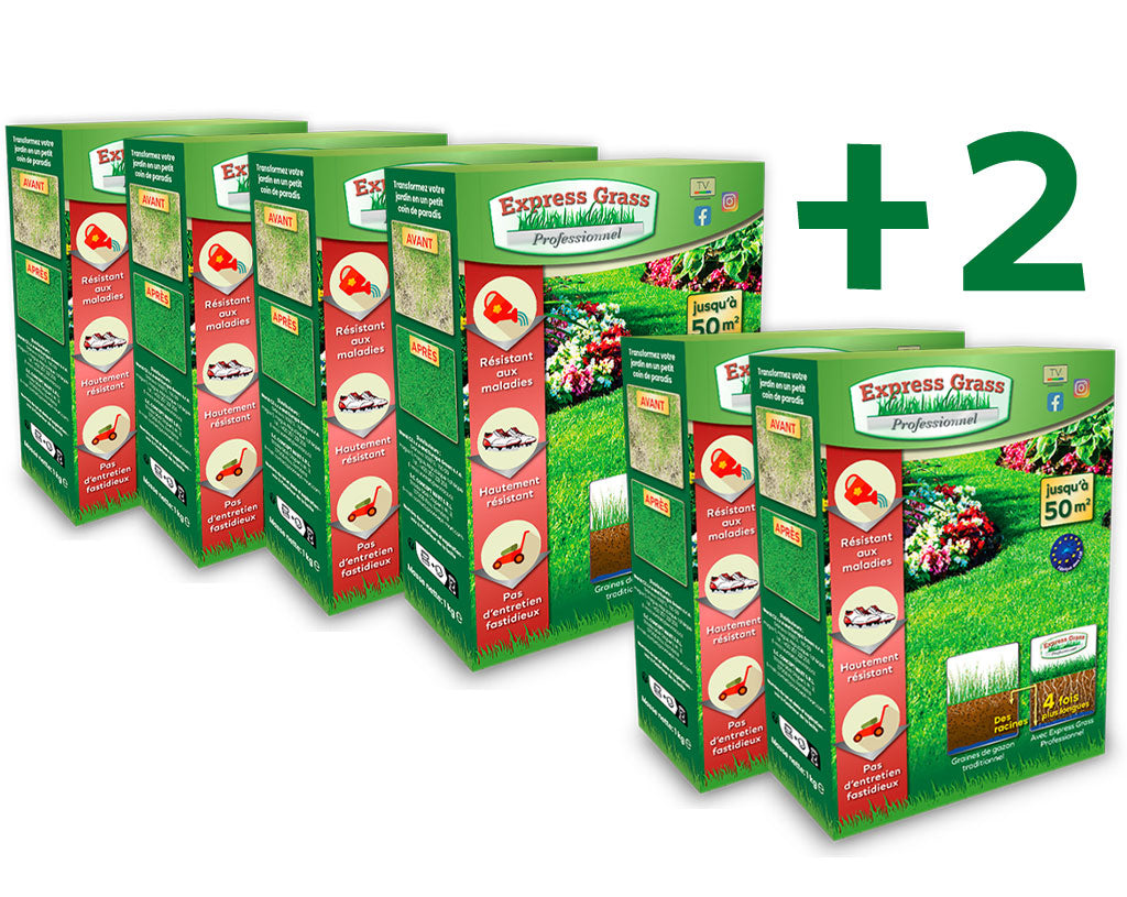 4 + 2 Express Grass Professionnel